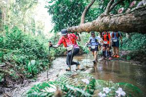 BIB: 
                            <button type="button" onclick="openModal(25474818)" class="btn btn-primary btn-sm float-right btn-popup" data-toggle="modal" data-target=".modal-high-quality">
                        <i class="fas fa-shopping-cart"></i> Add to Cart
                    </button>
                                            <button type="button" onclick="isThisMe(25474818, true)" class="btn btn-success btn-sm float-right btn-popup btn-isme hidden" data-toggle="tooltip" data-placement="bottom" title="นี่คือรูปของคุณใช่ไหม คลิกที่นี่เพื่อเอาเข้าอัลบั้ม">
                        <i class="fas fa-plus"></i> Add to album
                    </button>
                    <button type="button" onclick="isThisMe(25474818, false)" class="btn btn-warning btn-sm float-right btn-popup btn-isnotme hidden">
                        <i class="fas fa-ban"></i> Remove from album
                    </button>